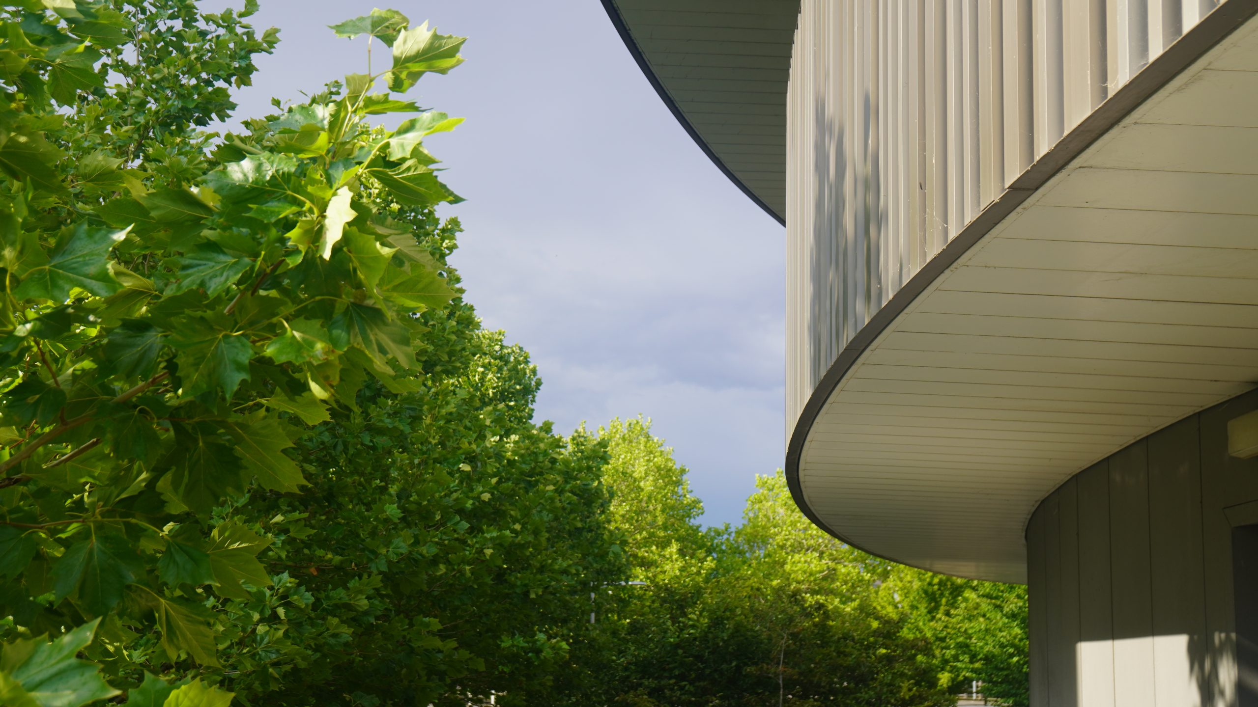 The frontage of a modern building with plants growing alongside