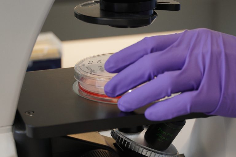 A gloved hand places a sample udner a microscope