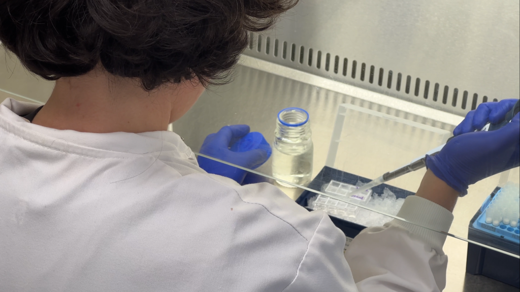 A female scientist uses a pipette in a fume hood