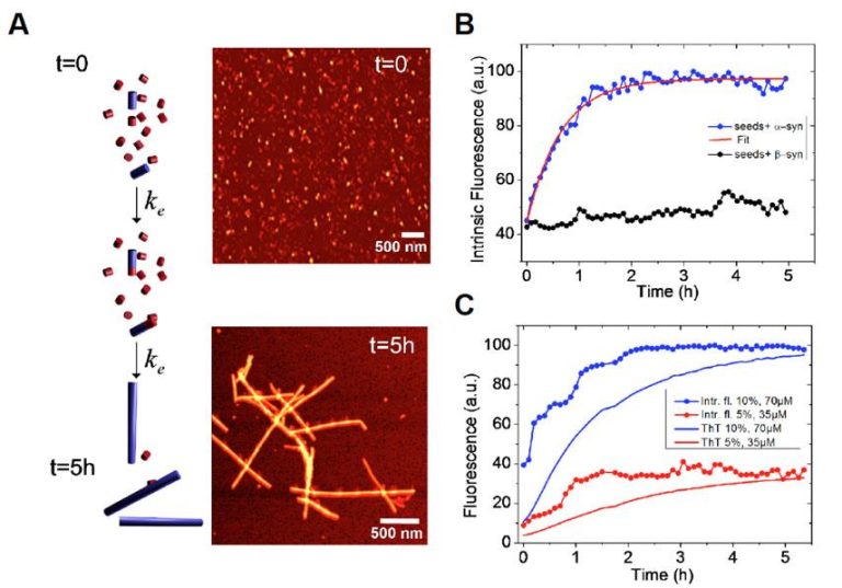 Graphs representing an increase in intrinsic flourescence
