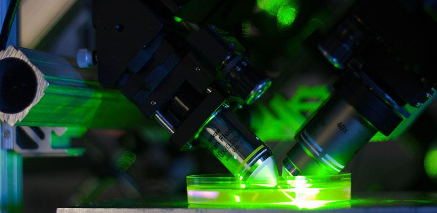 A stylised image of a microscope in action