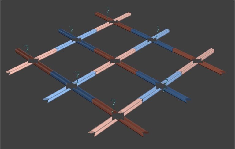 A 3D rendering of DNA nanonstructures.