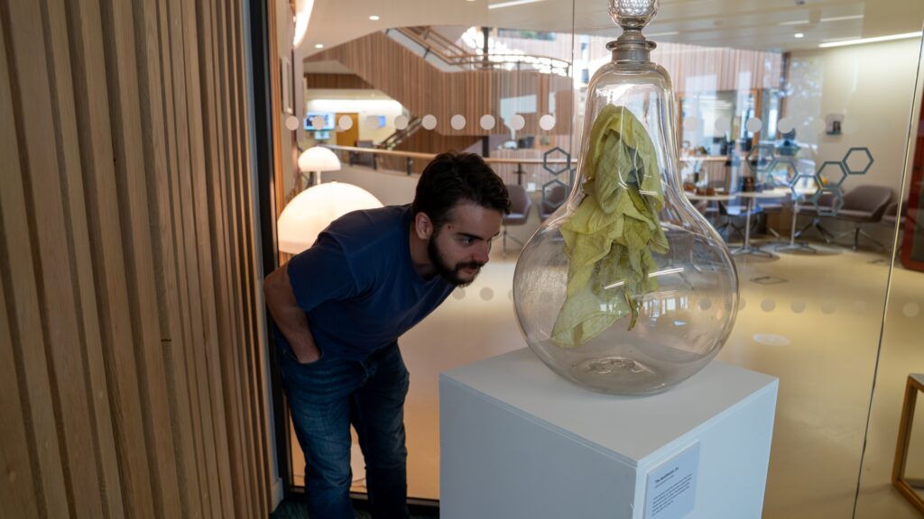 Muriel De Paula, CEB Webmaster, bends down to look closely at a large, pear-shaped glass jar with a yellow rag inside, in the CEB Lounge.