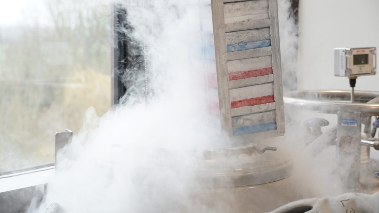 Liquid nitrogen cooled cells being lifted out.