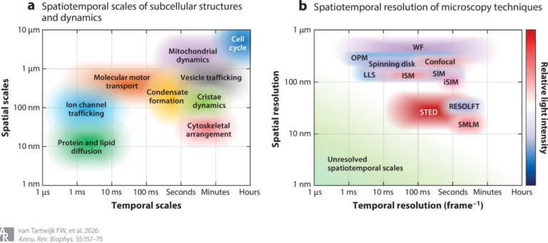 Graphic from research paper.